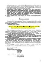 Konspekts 'Aksiālā kodēšana', 2.