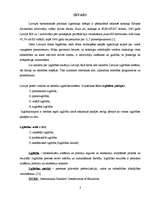 Referāts 'Izglītības līmenis, tā vērtēšana ', 3.