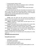 Referāts 'Izglītības līmenis, tā vērtēšana ', 8.