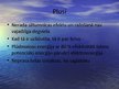 Prezentācija 'Plūdmaiņa', 8.