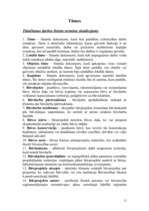 Referāts 'Ģimenes mājas tehniskā stāvokļa novērtēšana', 12.