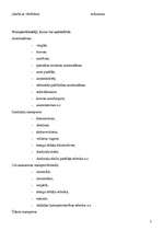 Konspekts 'Apdrošināšana', 2.