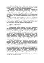 Referāts 'Apģērbs', 9.