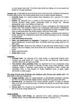 Referāts 'Āzijas valstis', 9.