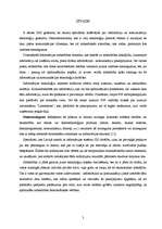 Referāts 'Datornoziegumi – XXI gadsimta noziedzības fenomens', 2.