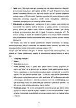 Referāts 'Datornoziegumi – XXI gadsimta noziedzības fenomens', 4.