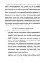 Referāts 'Datornoziegumi – XXI gadsimta noziedzības fenomens', 13.