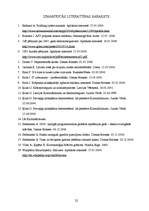 Referāts 'Datornoziegumi – XXI gadsimta noziedzības fenomens', 22.