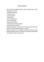 Paraugs 'Ēdināšanas uzņēmuma tehnoloģiskā procesa norises dokumentu izstrāde', 47.