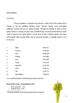 Referāts 'Pētnieciskais darbs pārtikas ķīmijā - vīnogas un mieži, vīns un alus', 5.