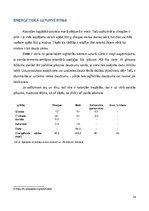 Referāts 'Pētnieciskais darbs pārtikas ķīmijā - vīnogas un mieži, vīns un alus', 14.