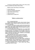 Konspekts 'Globālo stratēģiju vadīšana', 7.