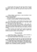 Konspekts 'Globālo stratēģiju vadīšana', 10.