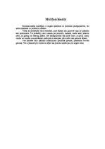 Konspekts 'Globālo stratēģiju vadīšana', 11.