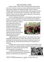 Referāts 'Pārtikā izmantotie konservanti', 11.