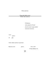 Prakses atskaite 'Prakses pārskats. Daugavpils pilsētas dome', 1.