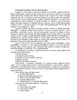 Prakses atskaite 'Prakses pārskats. Daugavpils pilsētas dome', 4.