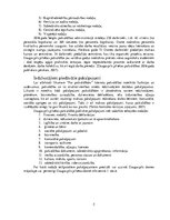 Prakses atskaite 'Prakses pārskats. Daugavpils pilsētas dome', 5.