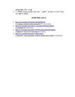 Referāts 'Politiķu metaforu izmantojums', 11.