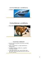 Konspekts 'Organizāciju uzvedība un vadība', 19.