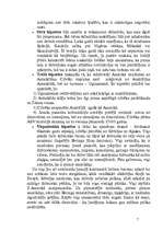 Referāts 'Ziemeļamerikas arheoloģiskā izpēte', 7.