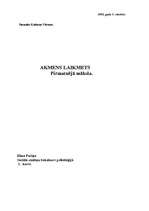 Referāts 'Akmens laikmets - pirmatnējā māksla', 1.