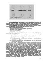 Referāts 'Psiholoģija pedagogam', 182.