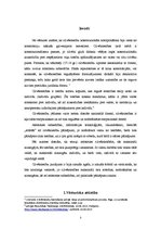 Referāts 'Starptautisko cilvēktiesību attīstība', 3.