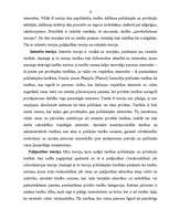 Referāts 'Publisko tiesību raksturojums', 15.