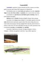 Konspekts 'Jūras bezkaulnieki dzīvnieki', 3.