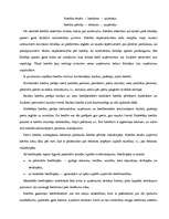 Konspekts 'Finansēšanas avoti', 7.