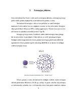 Referāts 'Otrais termodinamikas likums un entalpija', 9.