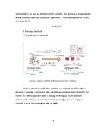 Referāts 'Otrais termodinamikas likums un entalpija', 10.