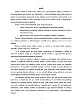 Konspekts 'Īpašuma iegūšanas un izbeigšanās veidi Latvijā', 3.