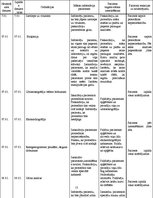 Prakses atskaite 'Pacienta aprūpes vēsture', 13.