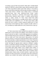 Referāts 'AS “Amber Latvijas balzams” konkurētspējas analīze', 4.