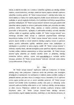 Referāts 'AS “Amber Latvijas balzams” konkurētspējas analīze', 5.