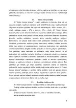 Referāts 'AS “Amber Latvijas balzams” konkurētspējas analīze', 6.