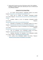 Referāts 'AS “Amber Latvijas balzams” konkurētspējas analīze', 28.