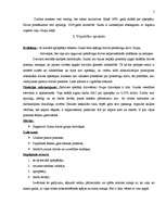 Prakses atskaite 'Sociālās aprūpes plāns', 5.