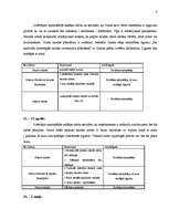 Prakses atskaite 'Sociālās aprūpes plāns', 8.