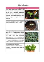 Paraugs 'Sējas kalendārs', 1.