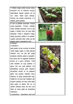 Paraugs 'Sējas kalendārs', 4.