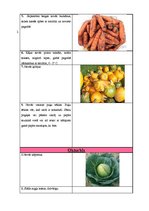 Paraugs 'Sējas kalendārs', 13.