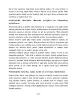 Eseja 'Policista profesijas apguve kā karjeras iespēja pēc 12. klases beigšanas', 11.