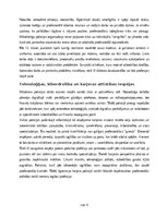 Eseja 'Policista profesijas apguve kā karjeras iespēja pēc 12. klases beigšanas', 12.