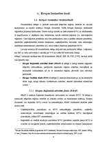 Referāts 'Eiropas Savienības fondi un to līdzekļu piesaiste Latvijas uzņēmumiem', 6.