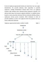 Prakses atskaite 'Prakses atskaite SIA "Savel"', 7.