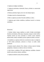 Prakses atskaite 'Prakses atskaite SIA "Savel"', 11.