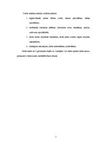 Referāts 'Nefinanšu investīciju ietekme uz iekšzemes kopproduktu, nodarbinātības līmeni un', 5.